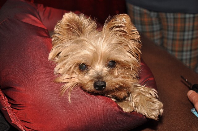 min 2009 09 24 zed 192